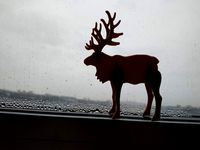 Reindeer christmas card kit easier pop-out