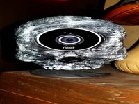 cyclops skull nest cam cover