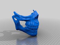 Death Stranding Higgs Mask