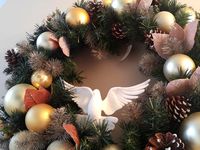 Dove