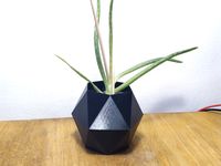 Hexagonal flower pot #5