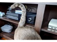 Xbox One Button Guard