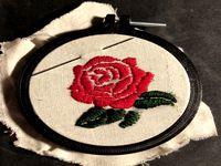 embroidery ring