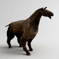Indricotherium 3D Model