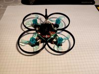 Angry Oskie Whoop Board Quad