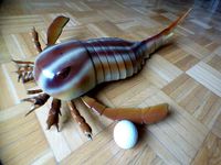 Sea scorpion