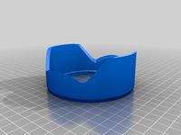 Lenshood Sony 24-105