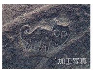 Nazca lines ai discovered