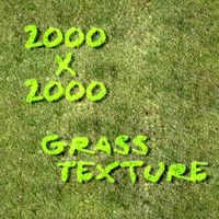 Grass Texture 3D Model