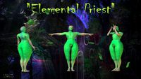 Elemental Priest