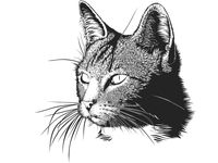Vector cat