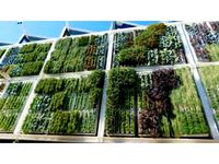 Easy Vertical Green wall module (fits any pipe and pot)