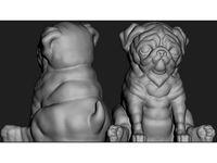 Pug supportless