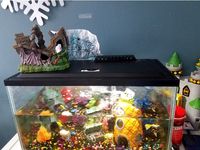 Fish Tank Filter Cover