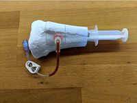 Intraosseous Access Training Device