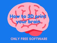 How to 3D print Your Brain