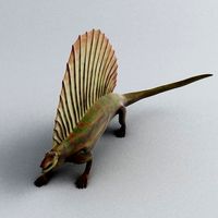 Edaphosaurus 3D Model