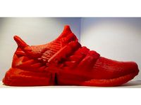 Adidas Ultraboost Gear Shoe