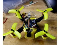2S Whoop Drone - BumbleBee