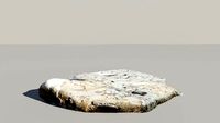 Whale Bone Fossil 3d Scanned Model