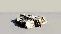 Fossile Whale Bone 3d Scan