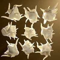 Platelet Thrombocyte 9 models pack
