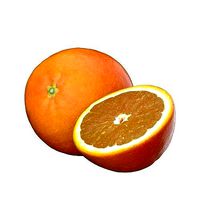 Orange Fruit 3D model Photoscan