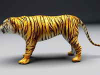 tiger