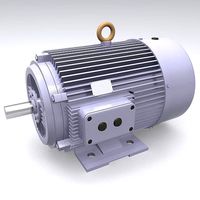 Electric Motor