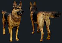 Rigged Shepherd Dog