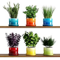 Kitchen Herbs In Le Creuset planters