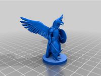 Tucati Warrior with axe (Toucan Aarakocra)