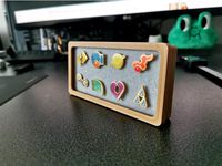 Pokemon Gym Badge Case