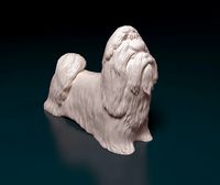 Shih Tzu dog | 3D