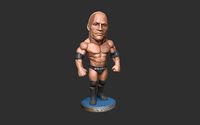 Rock wrestling  | 3D