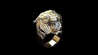 Loin Ring | 3D