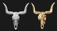 Longhorn Skull   | 3D
