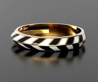 Geometry enamel ring | 3D