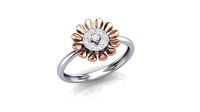 candera collection | 3D