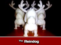 Reindog Ornament by christinachun