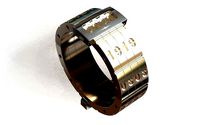 Date ring 393 | 3D