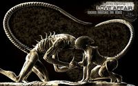 LOVE AFFAIR | 3D