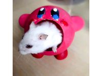 Hamster's Nest of Kirby