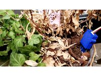 Capacitive soil moisture sensor housing