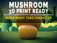 Super Mario Toad