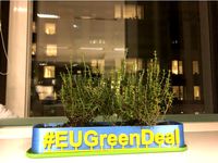 Flower pot - #EUGreenDeal