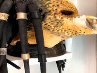 Predator dreadlock beads