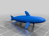a shark model