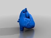 Anatomically Accurate Heart Model