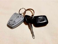 Llavero insignia Rover/Rover Badge Keychain